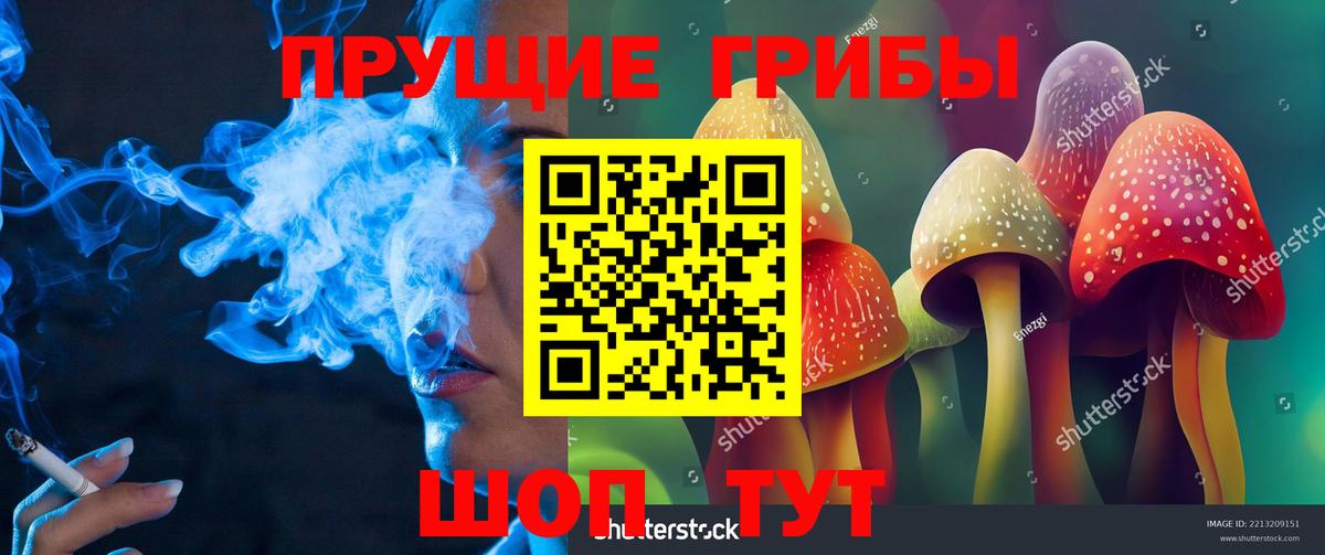 Галлюциногенные грибы GOLDEN TEACHER  Вход с VPN  Чебоксары 