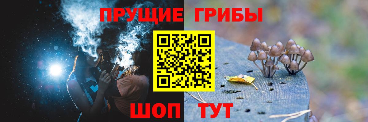 Псилоцибиновые грибы Psilocybine cubensis Чебоксары